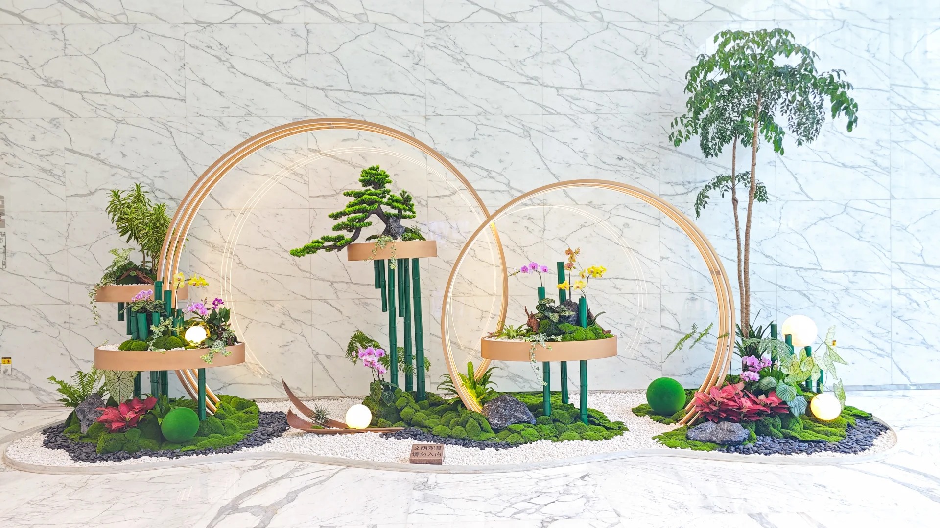 体验宁波杭州湾盆景租摆，感受绝佳服务！